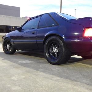 Meet your Posher, Sonny